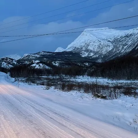Leinesfjord Aegotskaret Apartament Steigen
