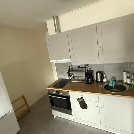 Apartment Leinesfjord Aegotskaret Steigen